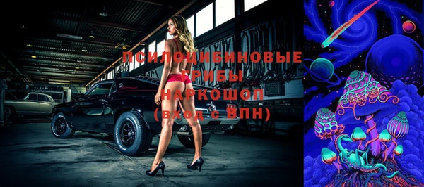 ECSTASY Краснослободск