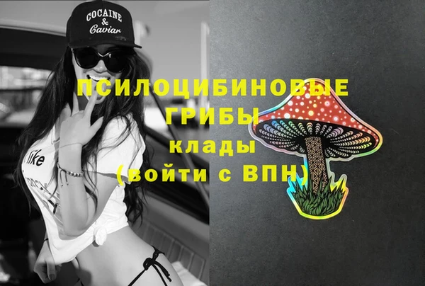 мдпв Красноперекопск