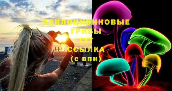 ECSTASY Краснослободск
