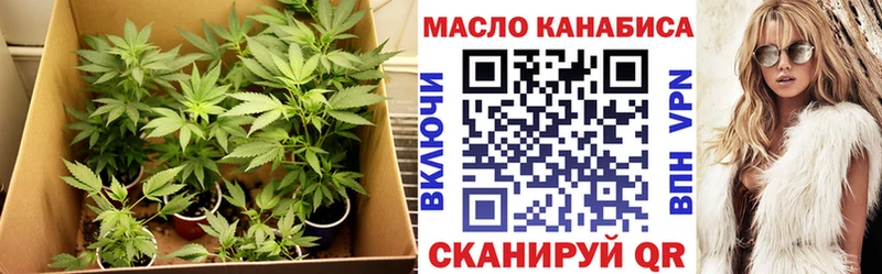 ТГК концентрат  как найти   Олонец 